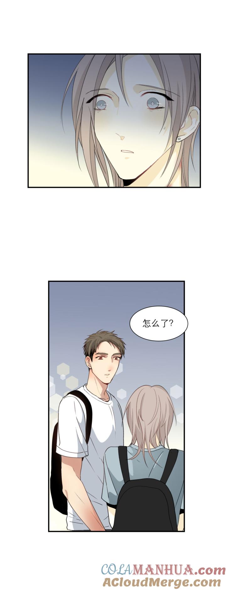 心之茧 - 110 101 猫与秘密 - 第3张图