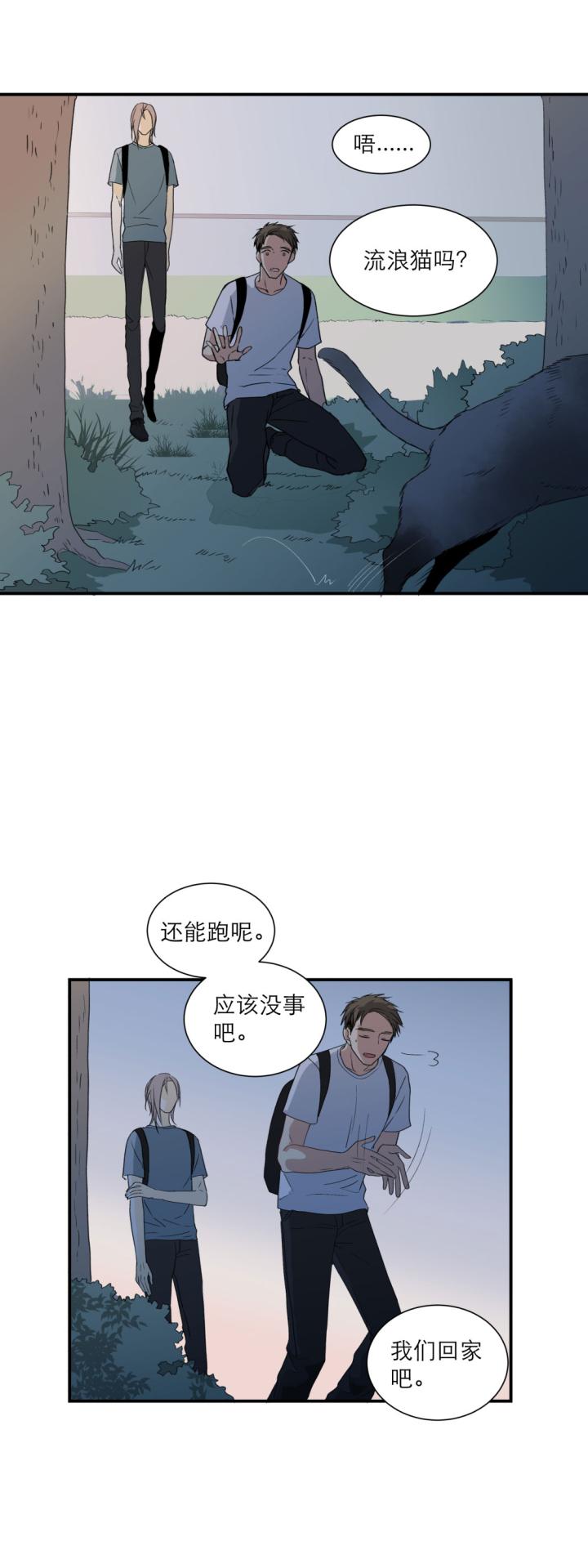 心之茧 - 110 101 猫与秘密 - 第6张图