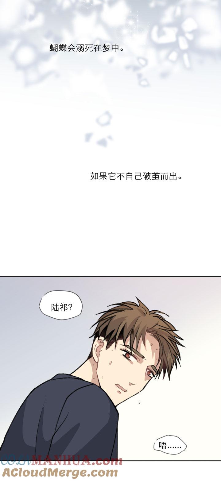 心之茧 - 113 103 蝴蝶之梦 - 第17张图