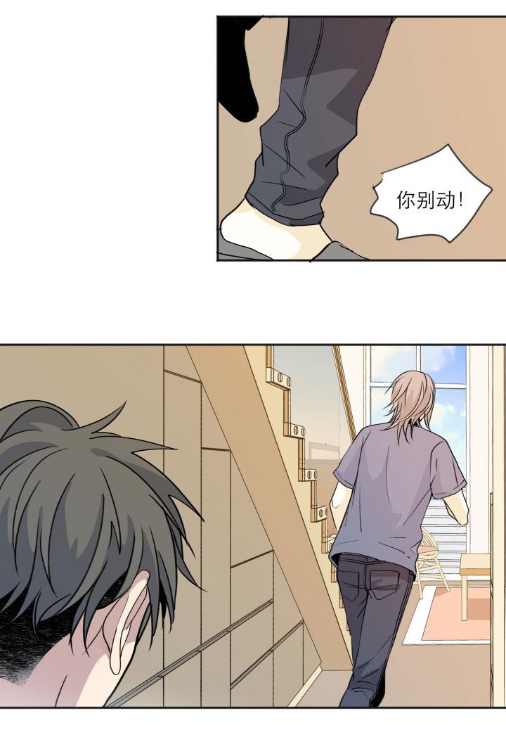 心之茧 - 113 103 蝴蝶之梦 - 第18张图