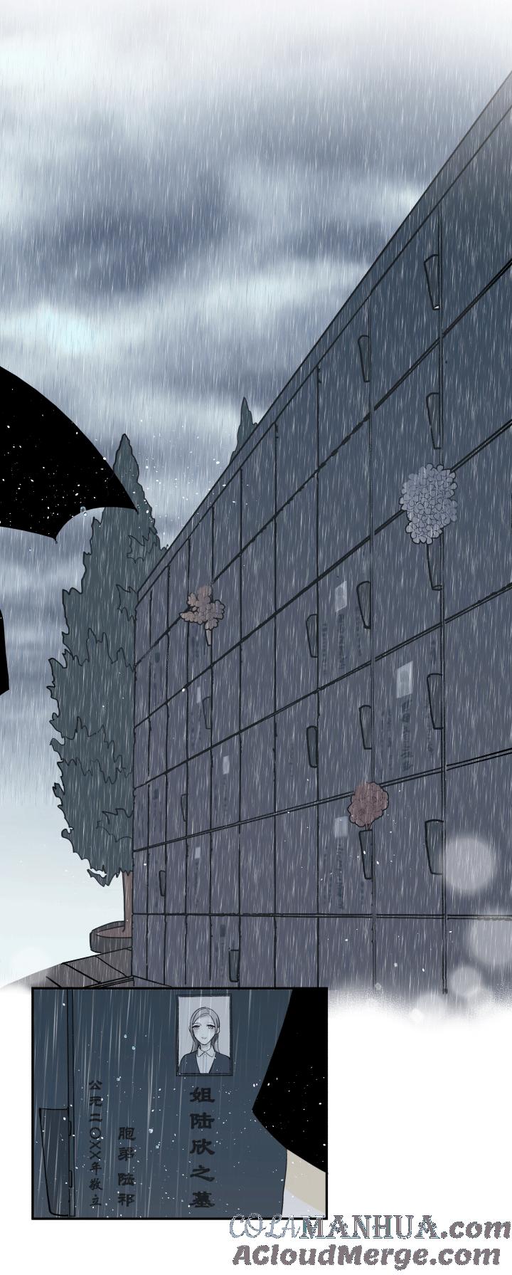 心之茧 - 117 107 给自己的答案 - 第11张图