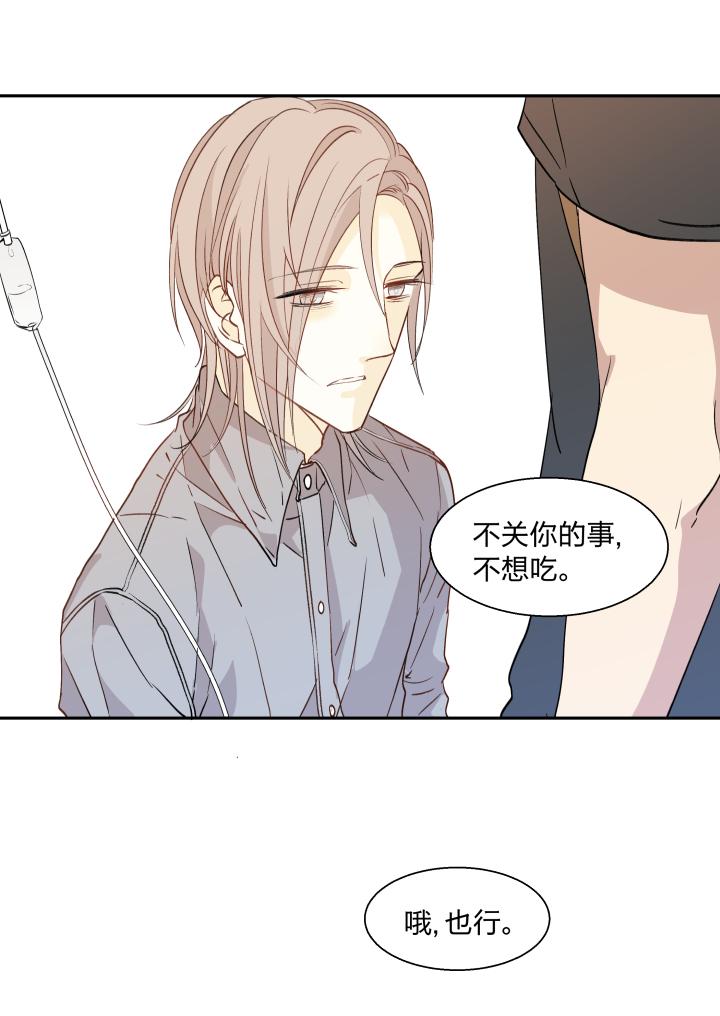 心之茧 - 19 19 谎言守护着秘密 - 第12张图