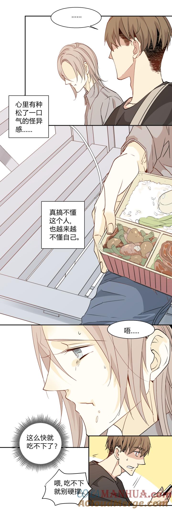 心之茧 - 19 19 谎言守护着秘密 - 第15张图