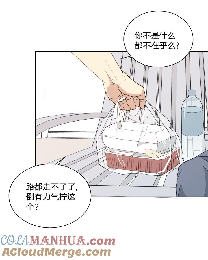 心之茧 - 19 19 谎言守护着秘密 - 第11张图