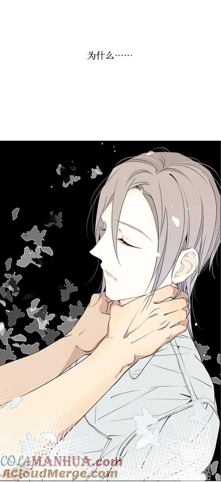 心之茧 - 2 视而不见 - 第3张图