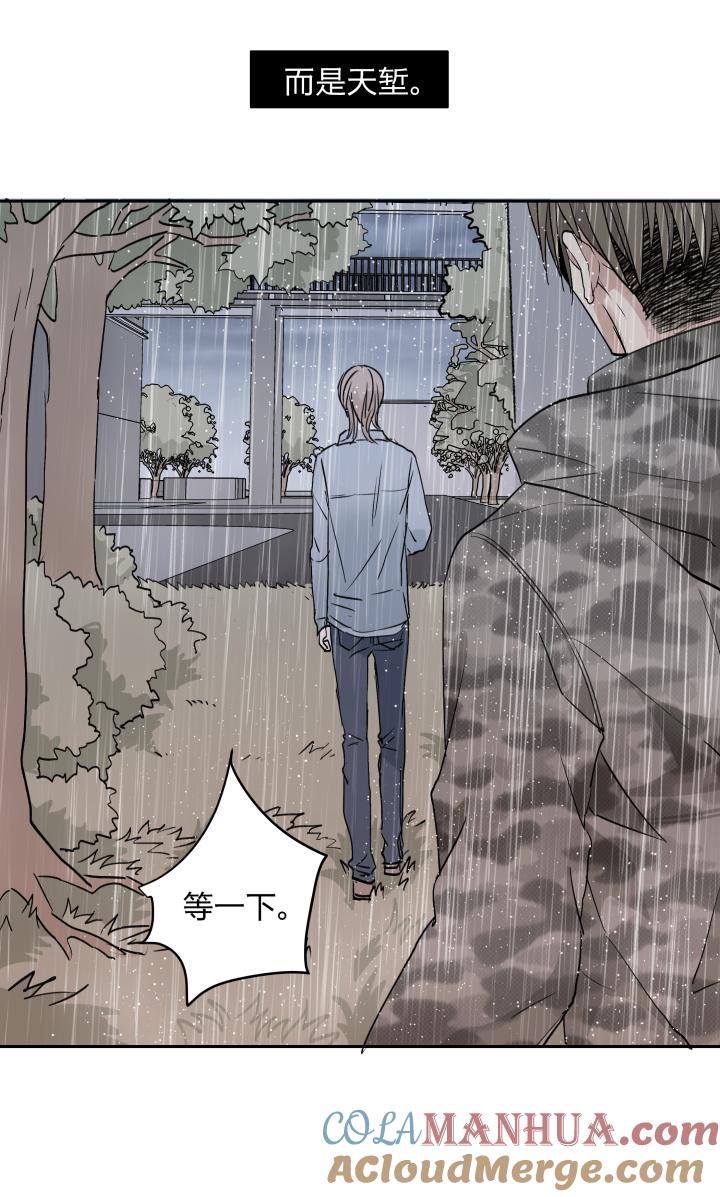 心之茧 - 34 32 苦果 - 第15张图