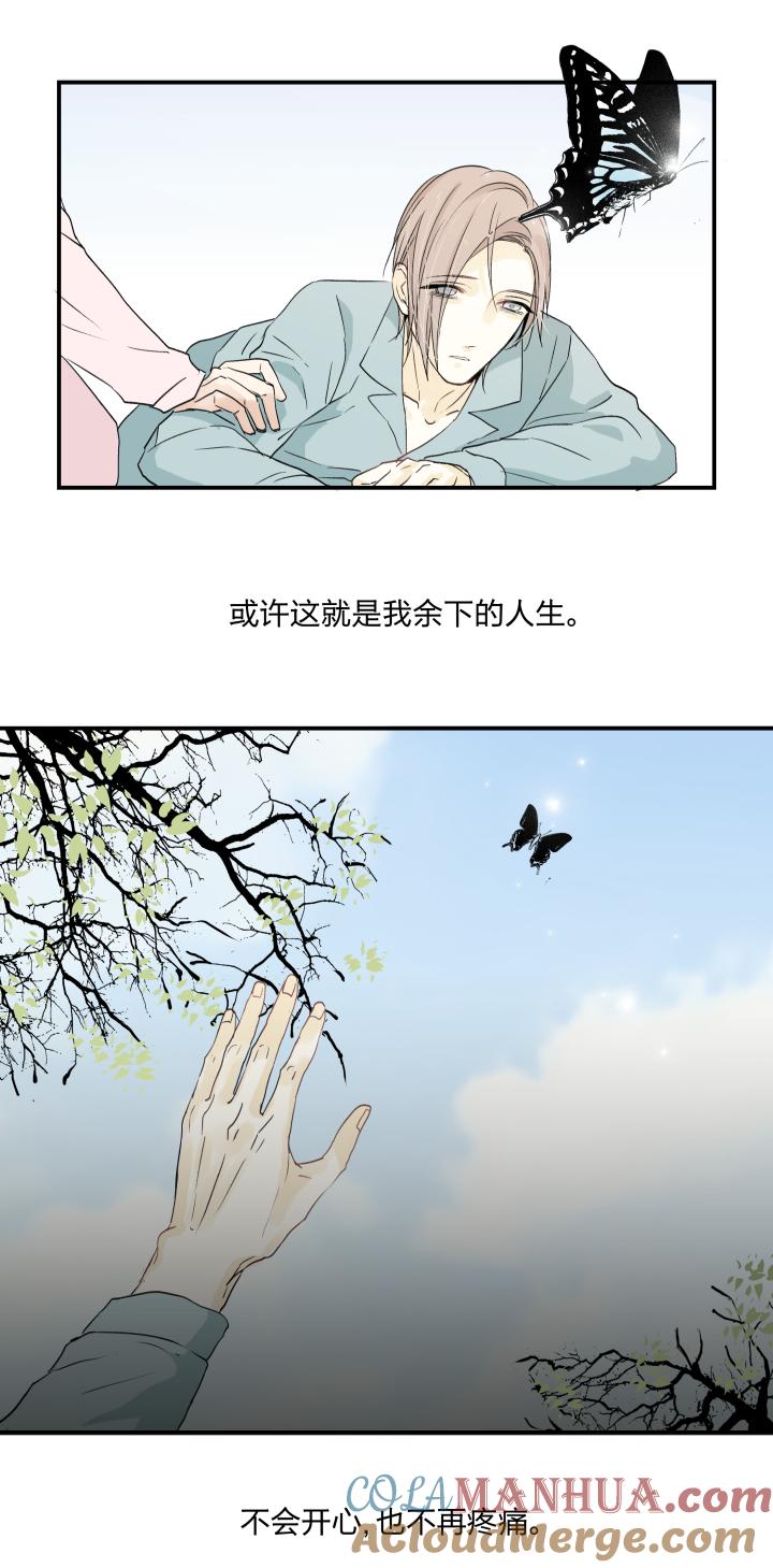 心之茧 - 38 35 “忘忧药” - 第11张图