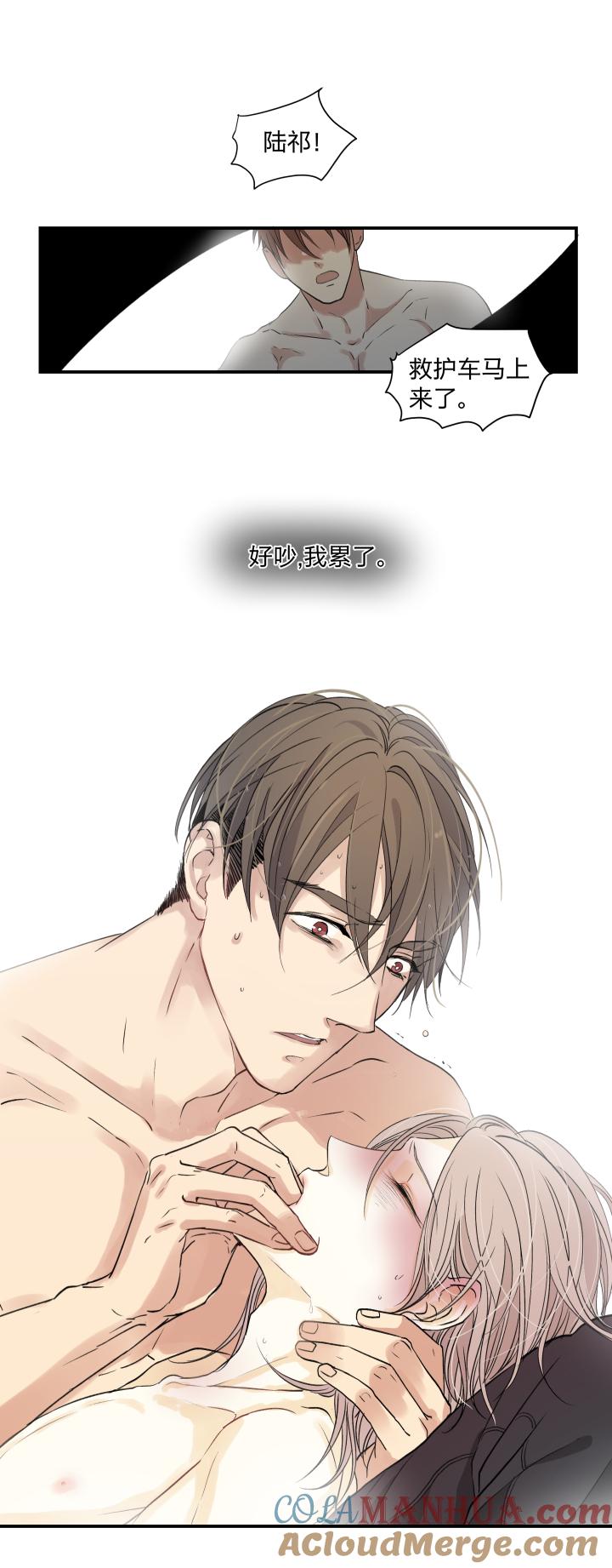 心之茧 - 38 35 “忘忧药” - 第13张图