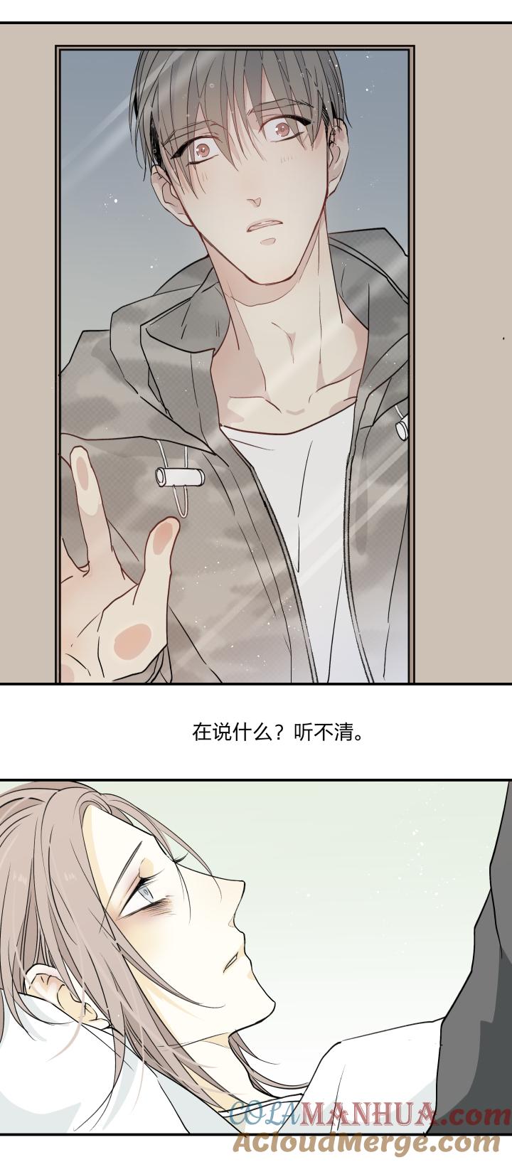 心之茧 - 39 36 你是一把刀，我刚好需要 - 第15张图