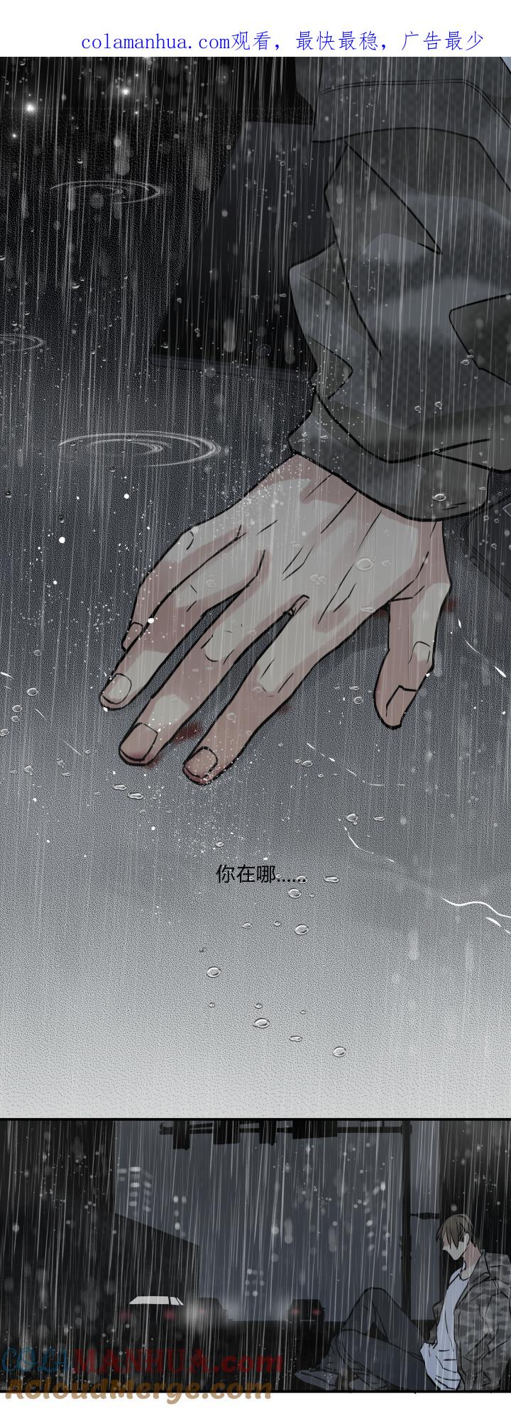 心之茧 - 41 38 弃犬 - 第1张图