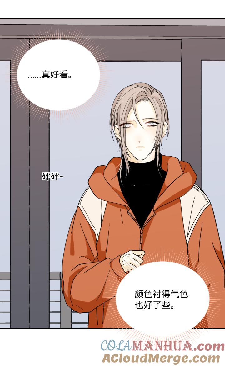 心之茧 - 55 52 决定 - 第15张图