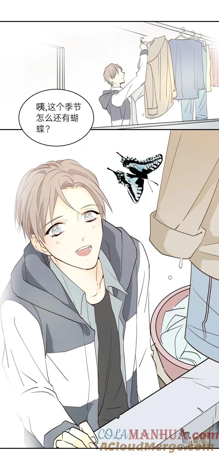 心之茧 - 7 07 记忆的螺旋 - 第11张图