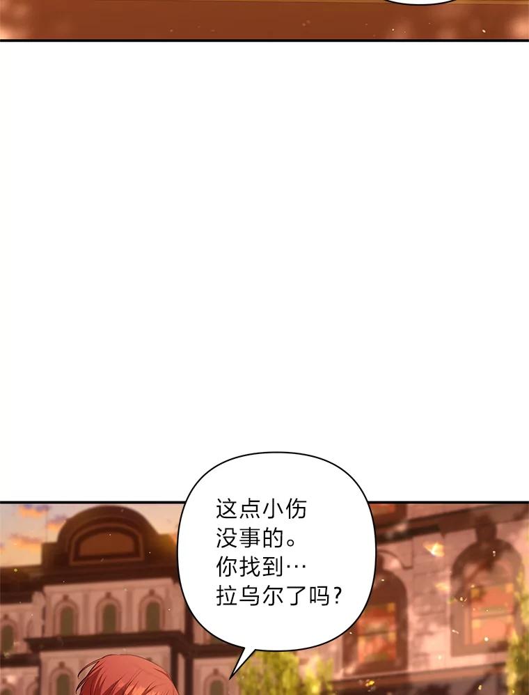 《为你的生命所献的时间》61.失踪的拉乌尔 第102页