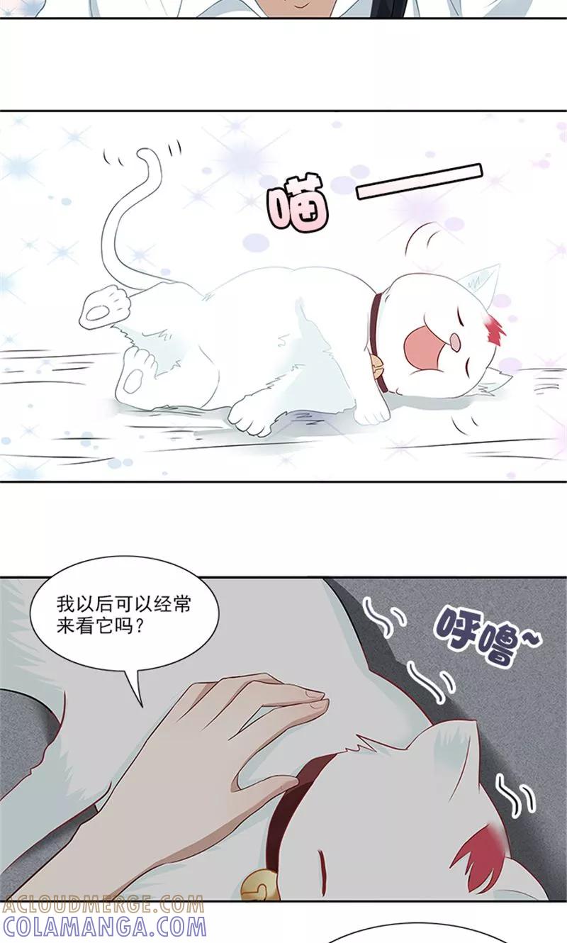 《灵狩》第24话 小白猫 第15页