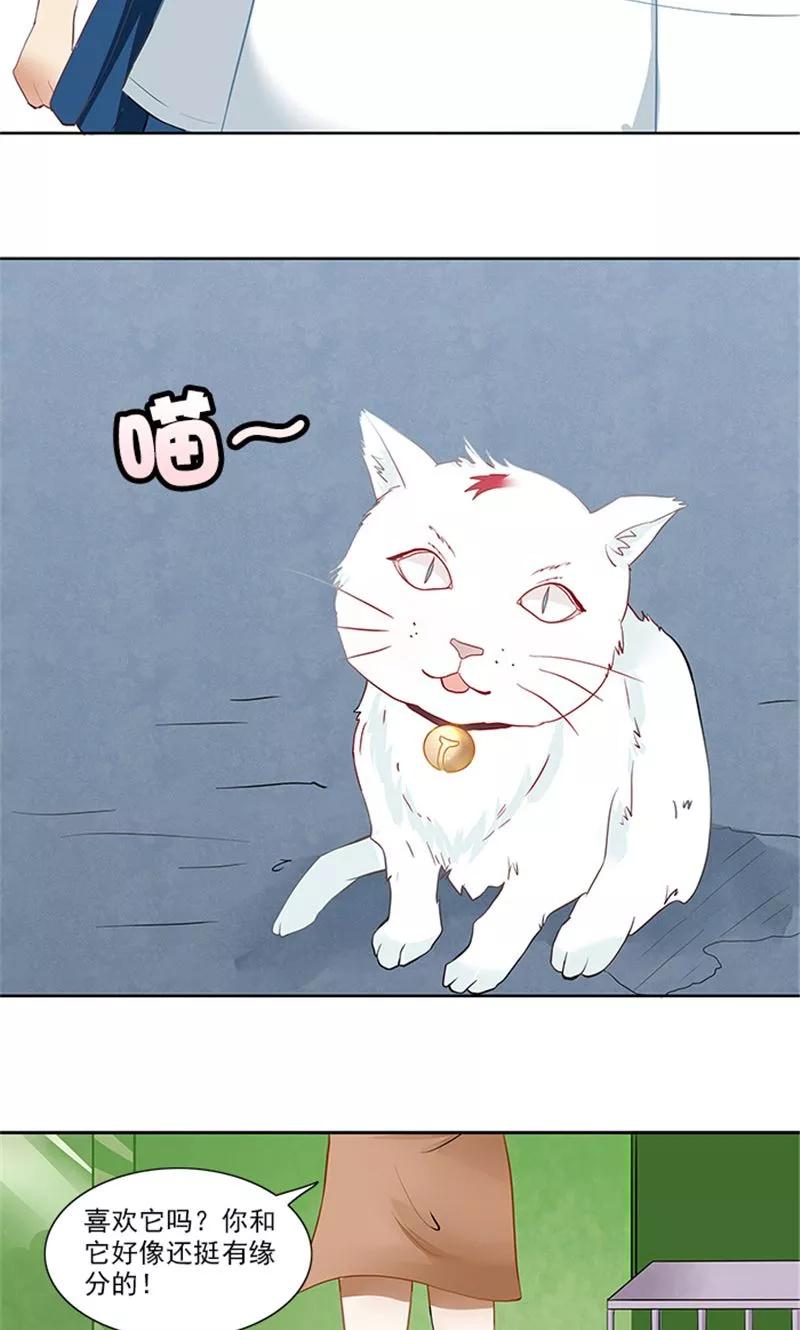 《灵狩》第24话 小白猫 第12页