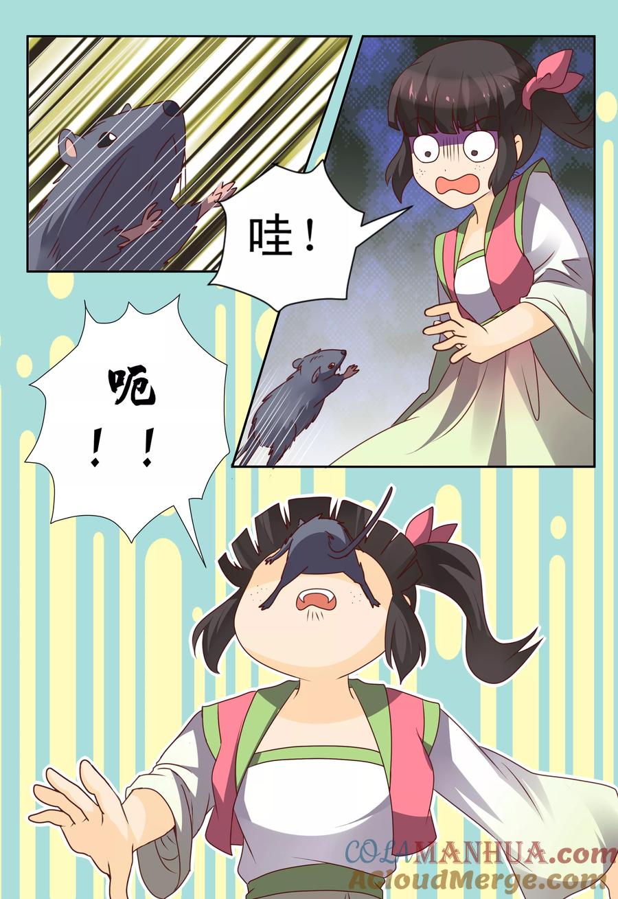 《凶猛皇后追夫记》第59话 第5页