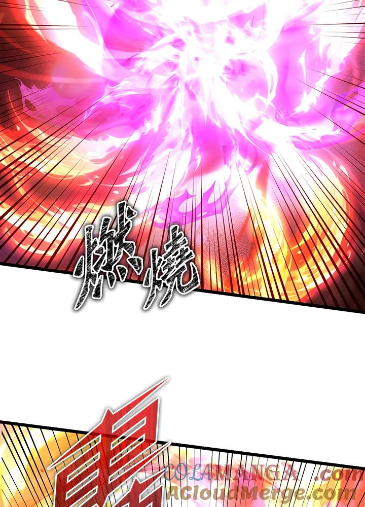 从满级开始升级 - 第71话 - 第29张图