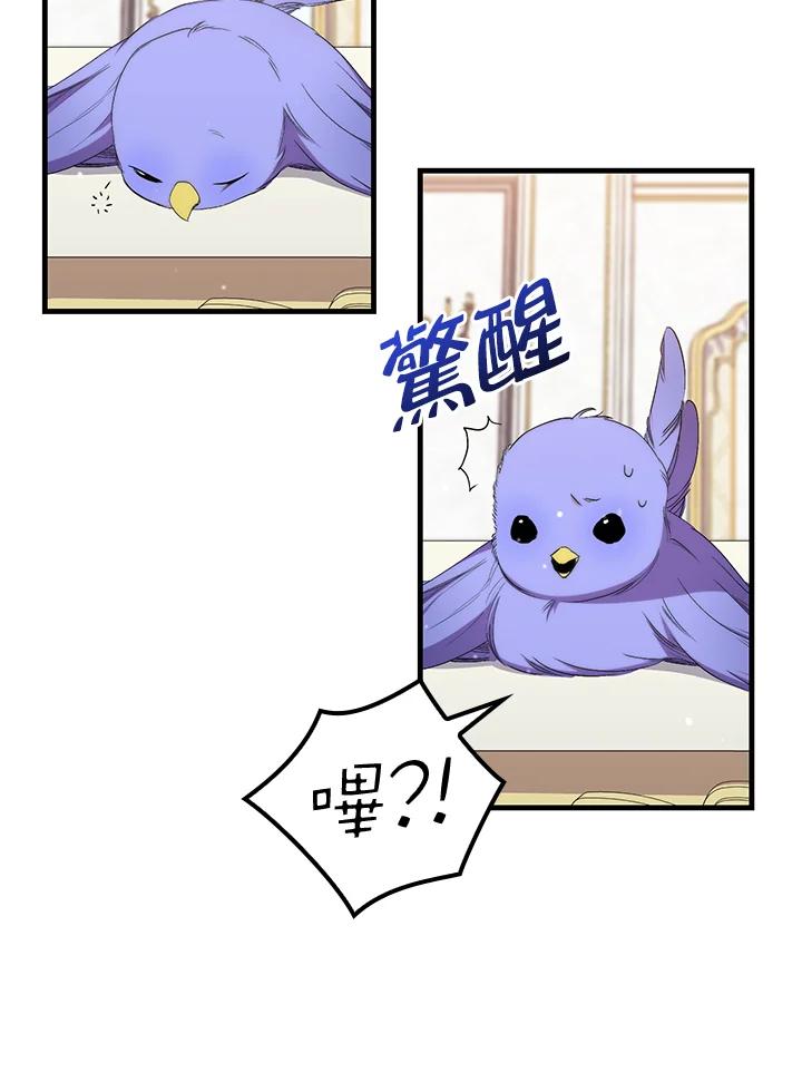 《牺牲的是我，勇士却疯了》第31话 第62页