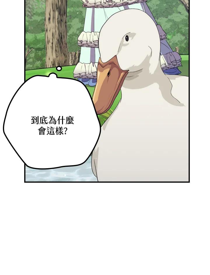 《牺牲的是我，勇士却疯了》第34话 第66页