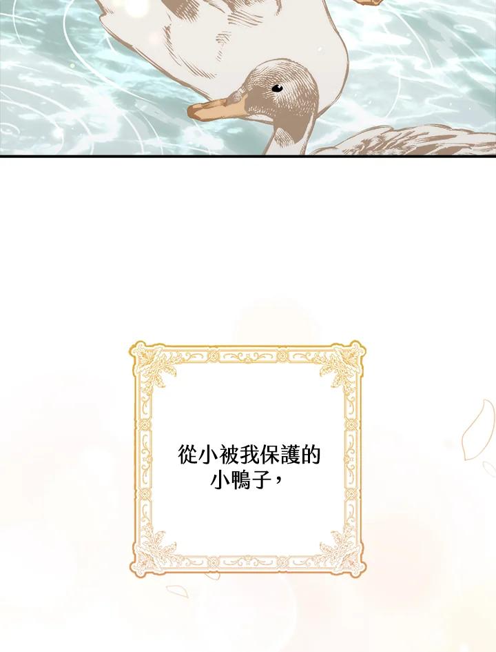 《牺牲的是我，勇士却疯了》第34话 第68页