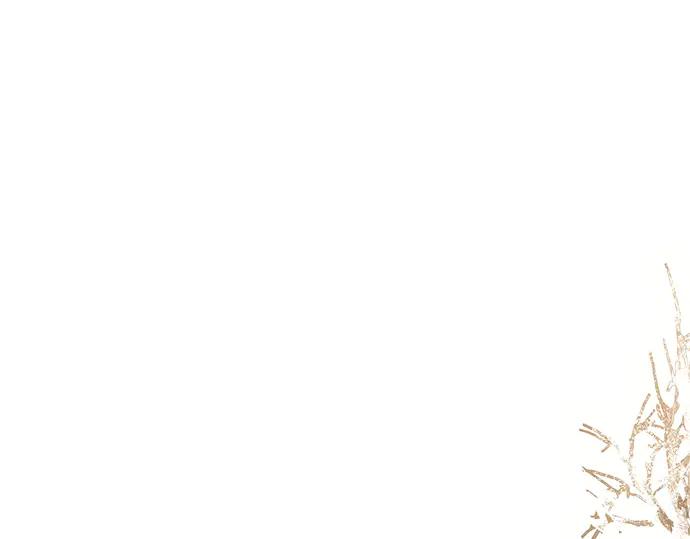 《黑暗皇女：雅什泰洛迪》第66话 第159页