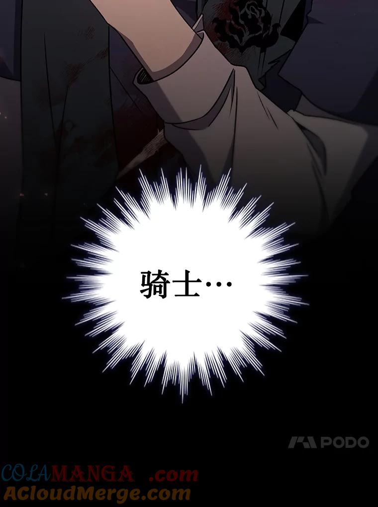 《噬龙魔法师》14.打败骑士 第69页