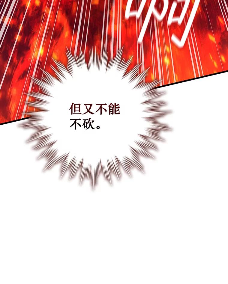 《噬龙魔法师》15.龙族混血 第35页
