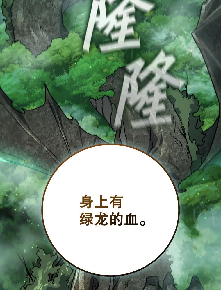 《噬龙魔法师》15.龙族混血 第115页