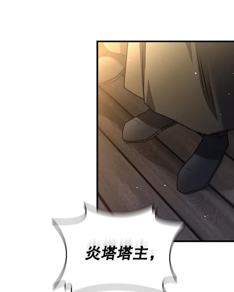 《噬龙魔法师》15.龙族混血 第98页