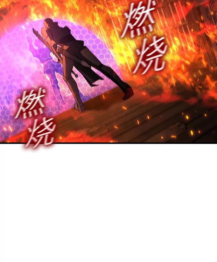 《噬龙魔法师》15.龙族混血 第2页