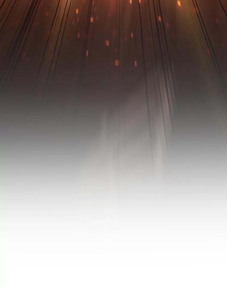 《噬龙魔法师》15.龙族混血 第26页