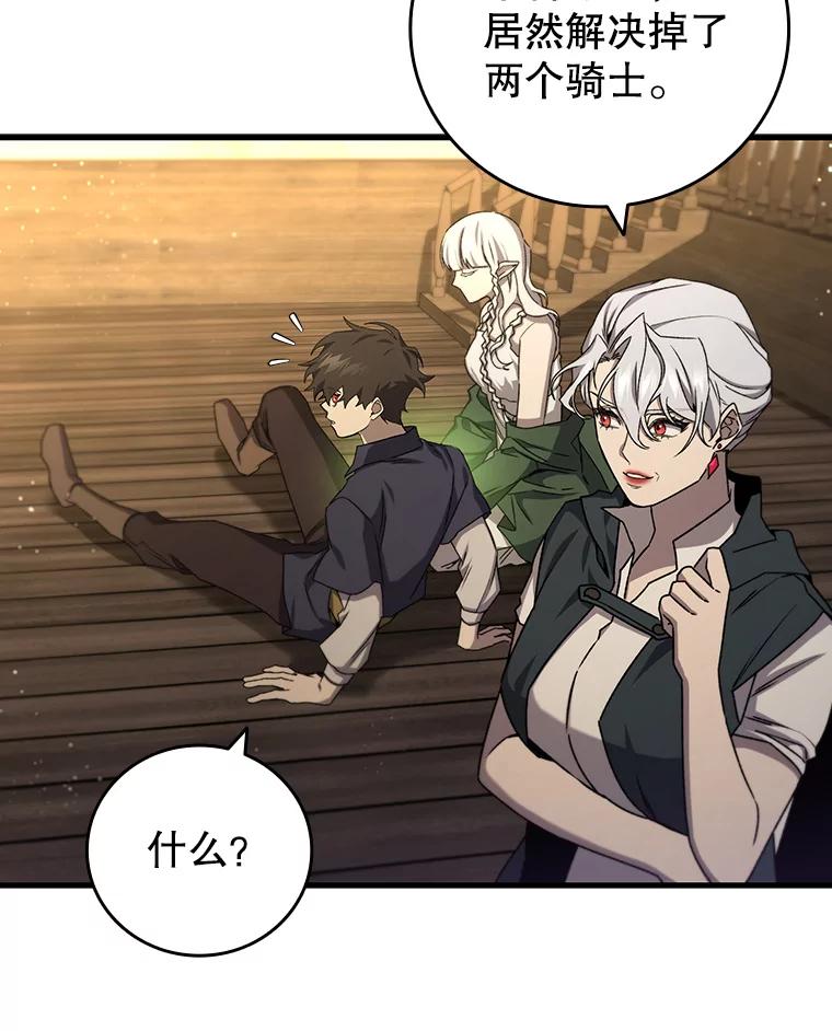 《噬龙魔法师》15.龙族混血 第84页