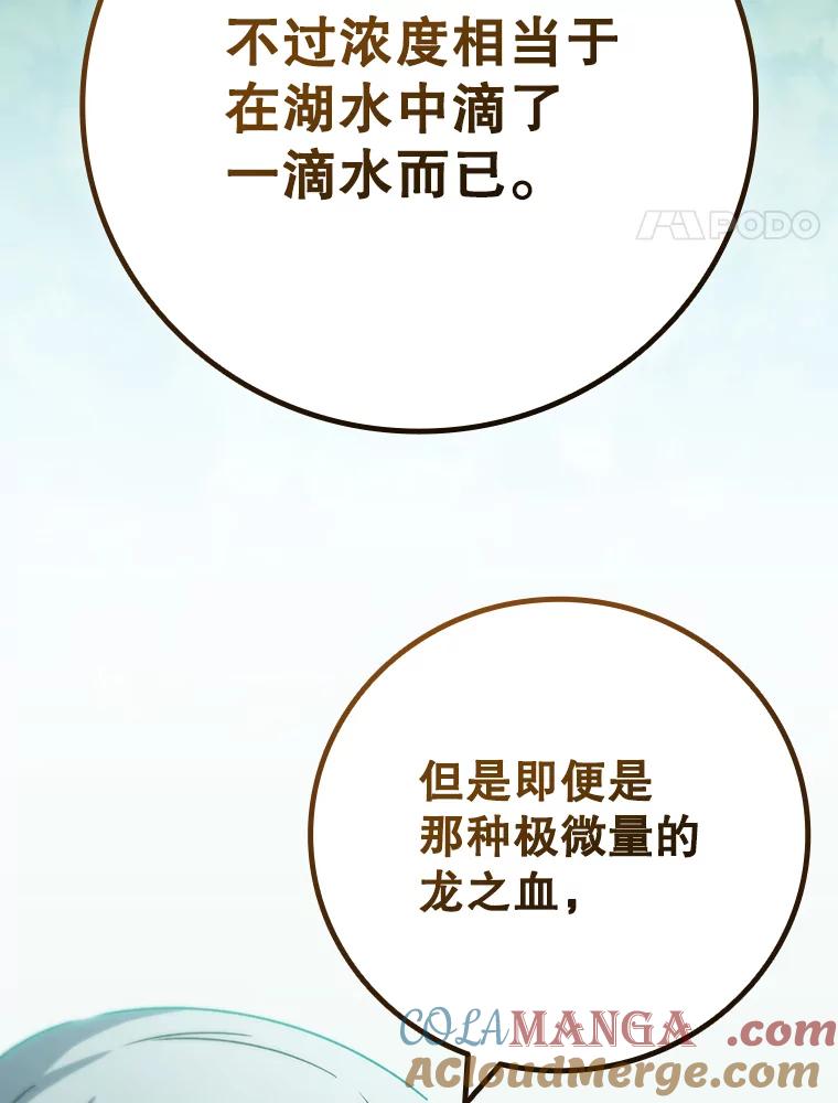 《噬龙魔法师》15.龙族混血 第117页