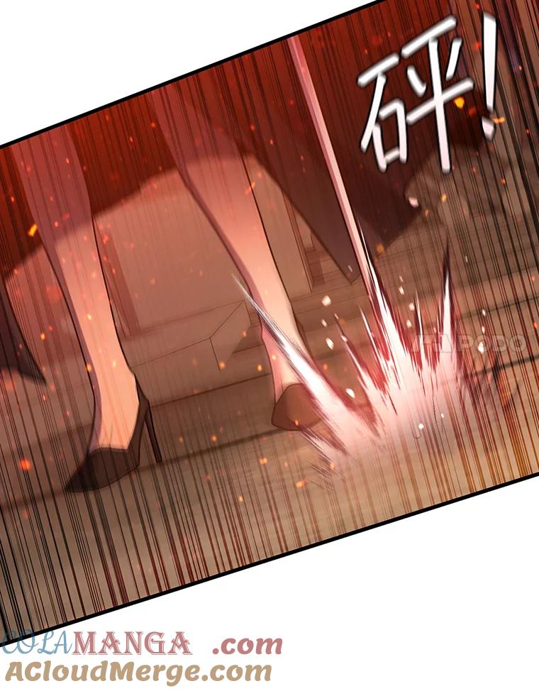 《噬龙魔法师》15.龙族混血 第73页