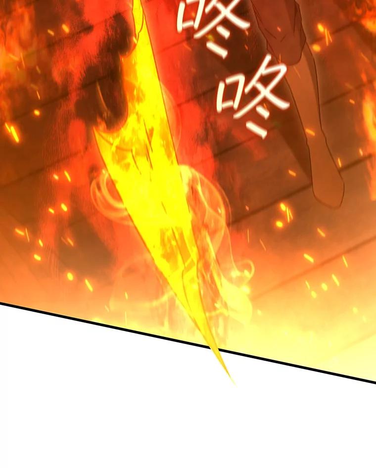 《噬龙魔法师》15.龙族混血 第19页