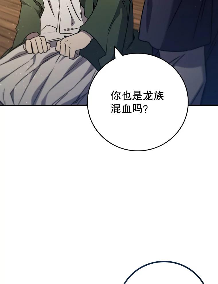 《噬龙魔法师》15.龙族混血 第111页