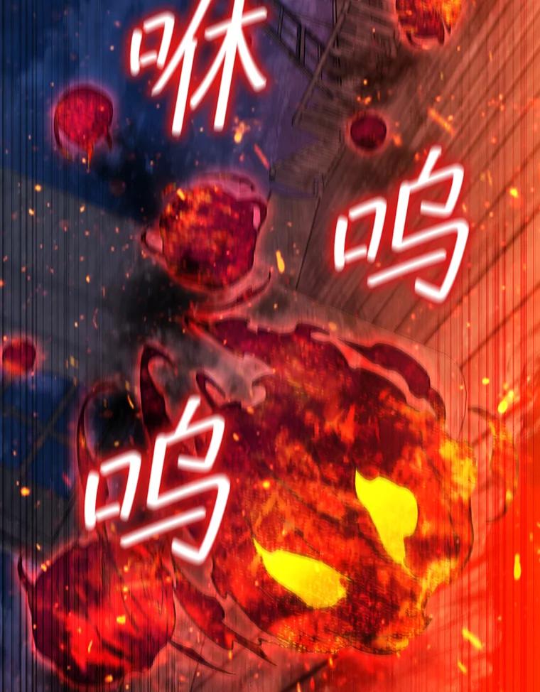 《噬龙魔法师》15.龙族混血 第71页