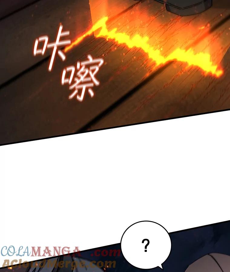 《噬龙魔法师》15.龙族混血 第45页