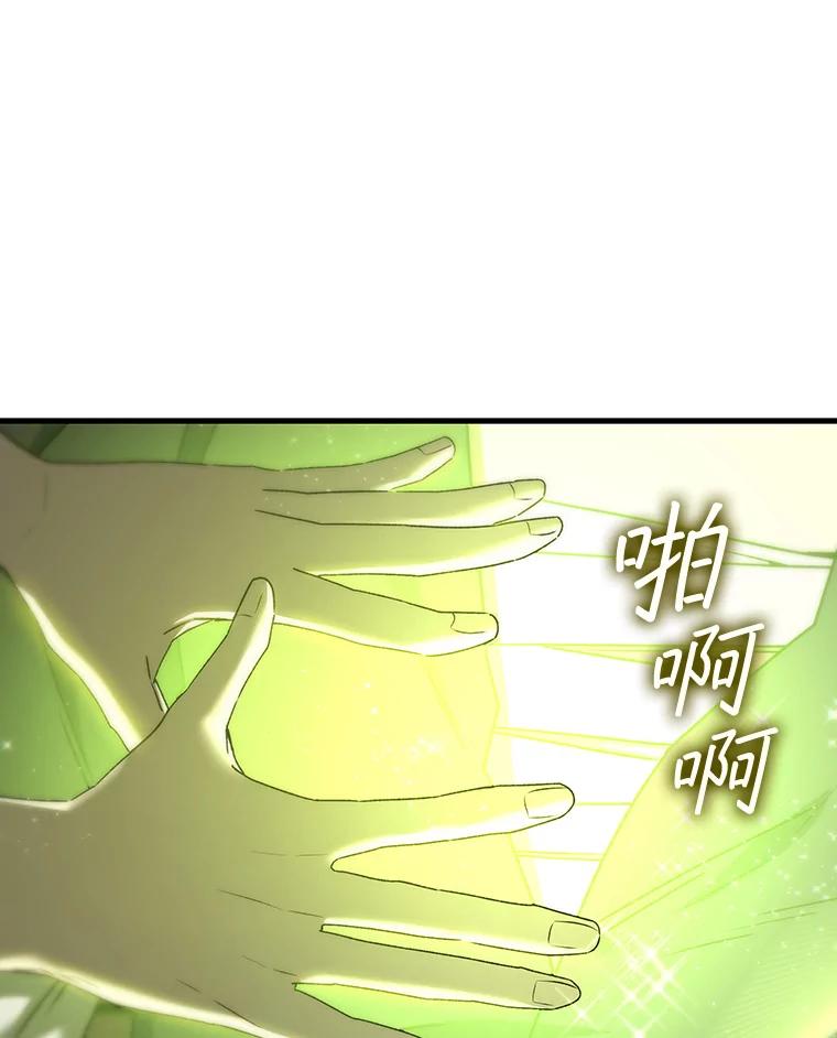 《噬龙魔法师》15.龙族混血 第82页