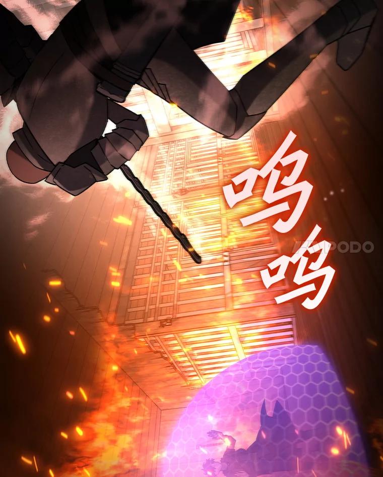 《噬龙魔法师》15.龙族混血 第11页