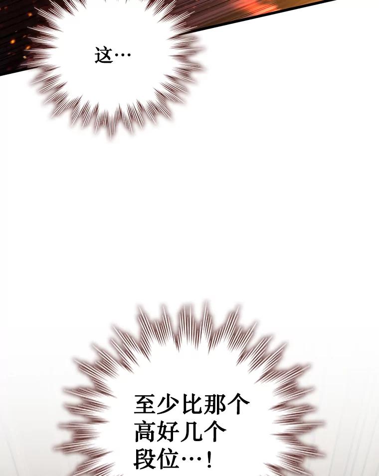 《噬龙魔法师》15.龙族混血 第23页