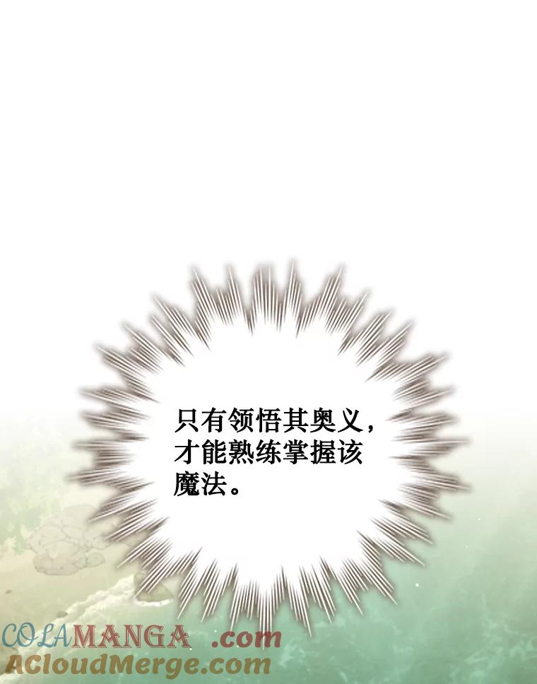 《噬龙魔法师》16.精灵之门 第85页