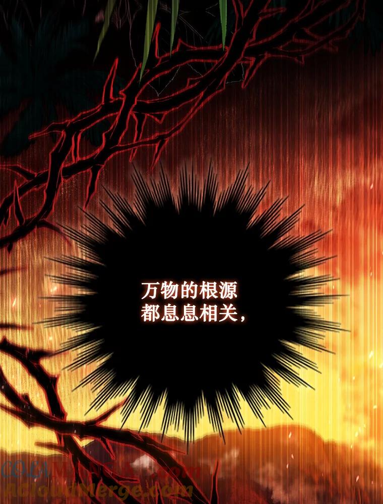 《噬龙魔法师》16.精灵之门 第137页
