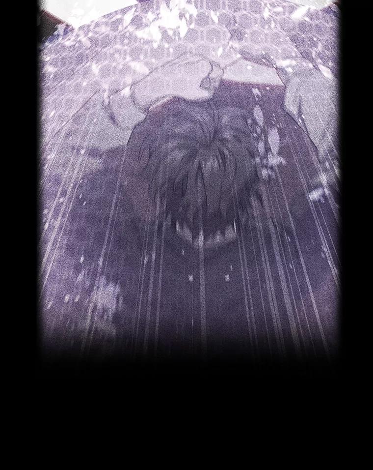 《噬龙魔法师》16.精灵之门 第64页