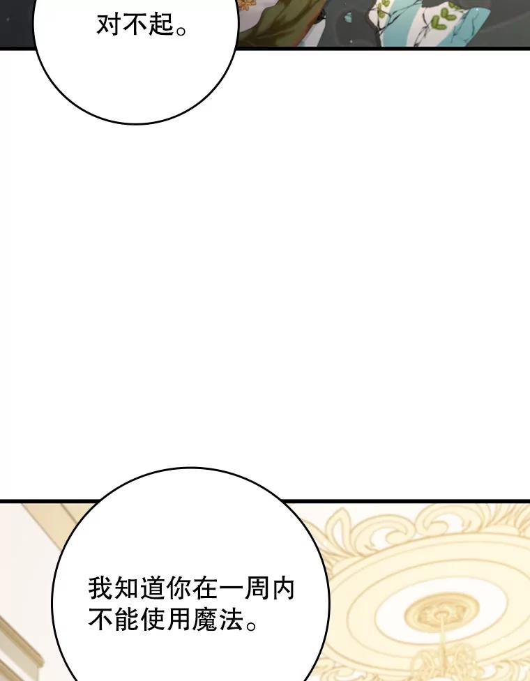 《噬龙魔法师》17.特别的训练 第111页