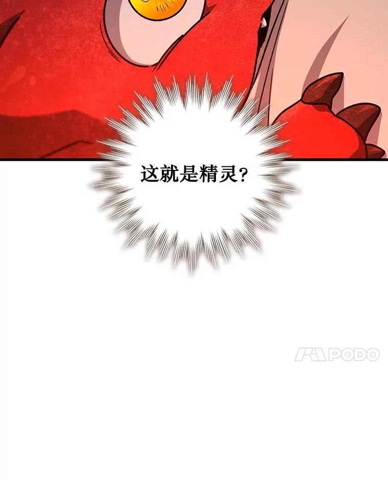《噬龙魔法师》19.与精灵缔结契约 第55页