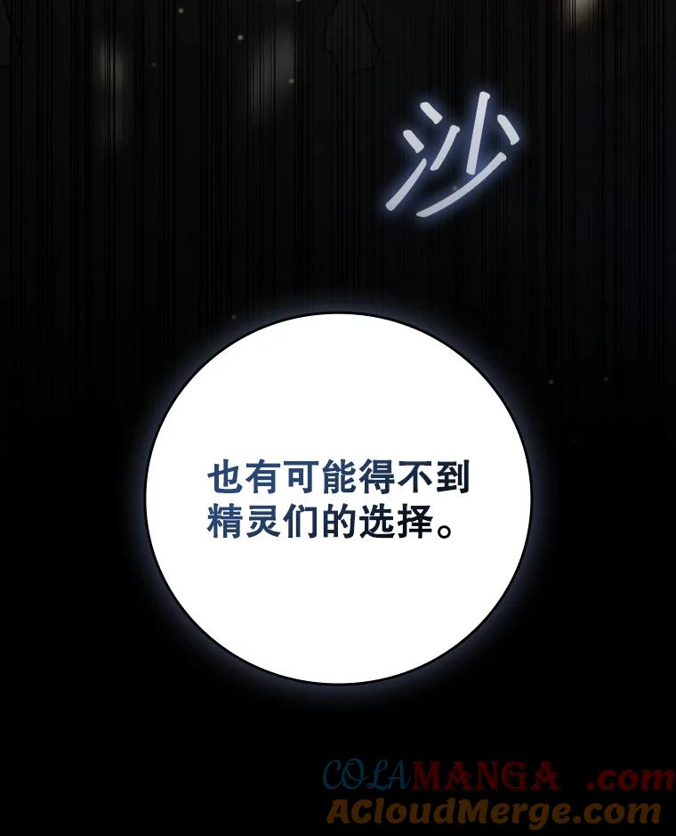 《噬龙魔法师》19.与精灵缔结契约 第33页