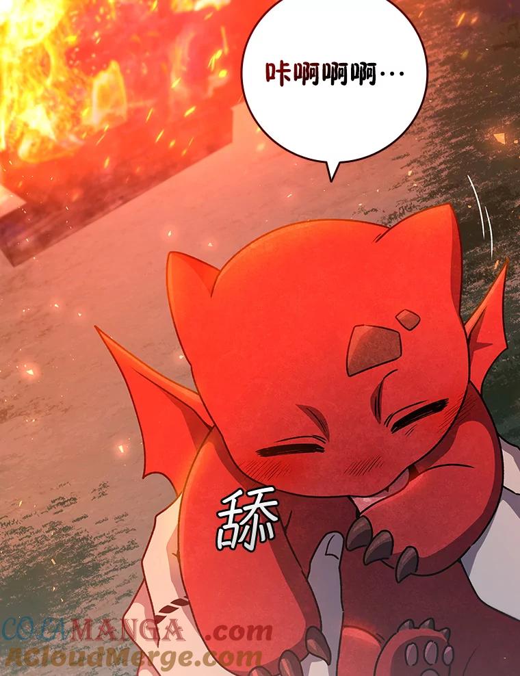 《噬龙魔法师》19.与精灵缔结契约 第93页
