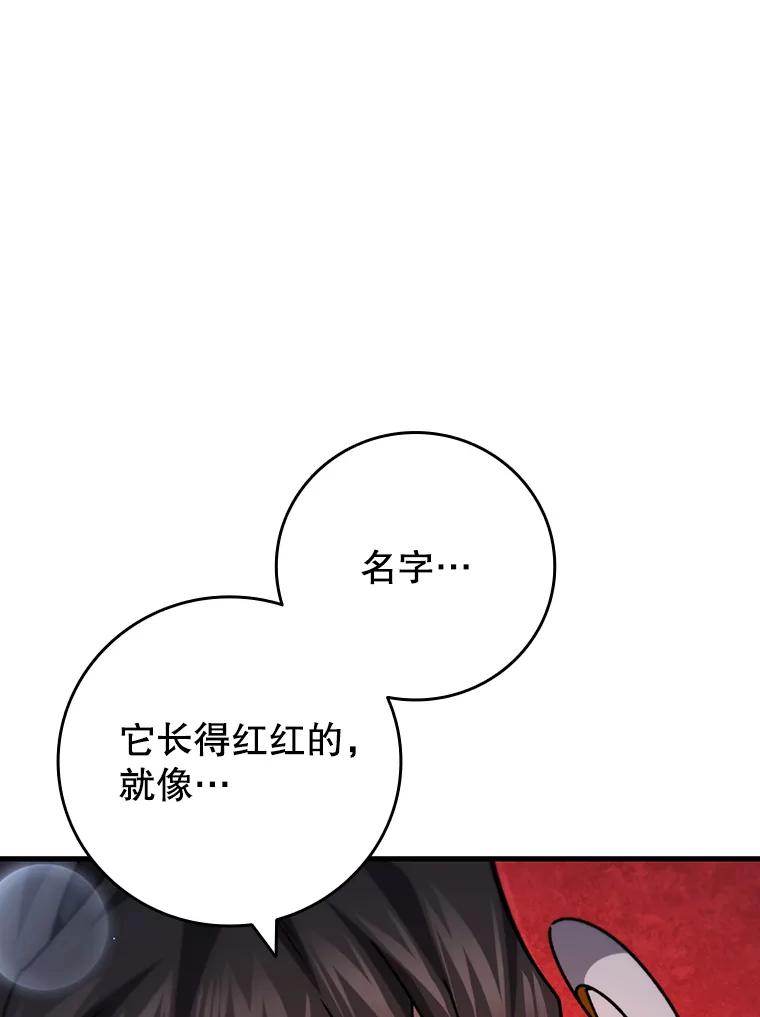 《噬龙魔法师》19.与精灵缔结契约 第78页