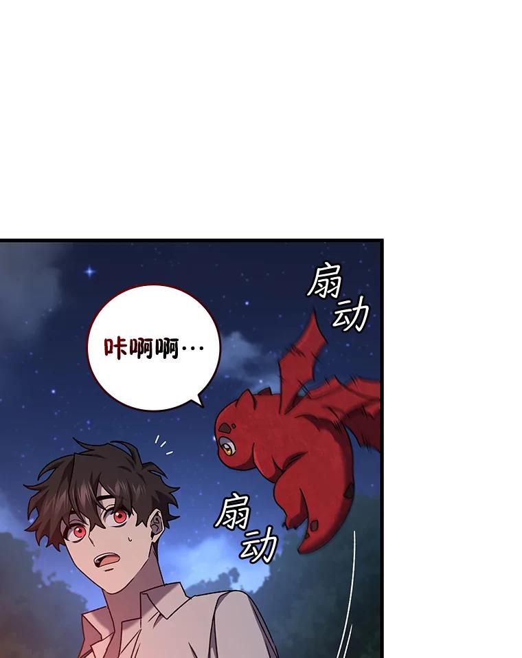 《噬龙魔法师》19.与精灵缔结契约 第68页